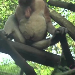 Жесткий секс на кухне: домашний ролик без цензуры