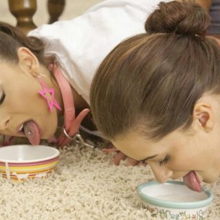 Две шлюшки отсасывают хуй с удовольствием